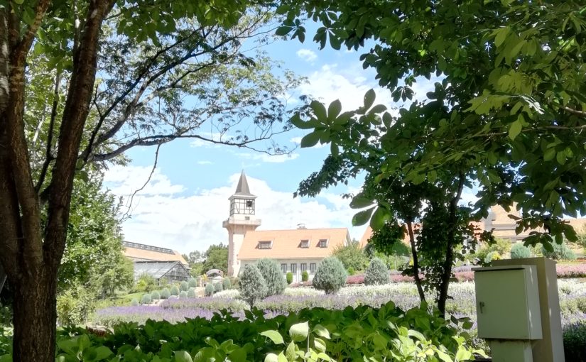 こどもとおでかけ